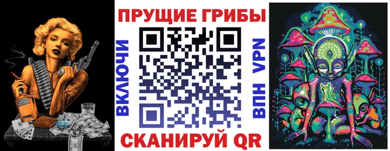 Купить где Игра Галлюциногенные грибы Magic Shrooms